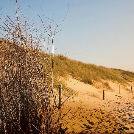 'lieblingsbude' Ferienhaus *